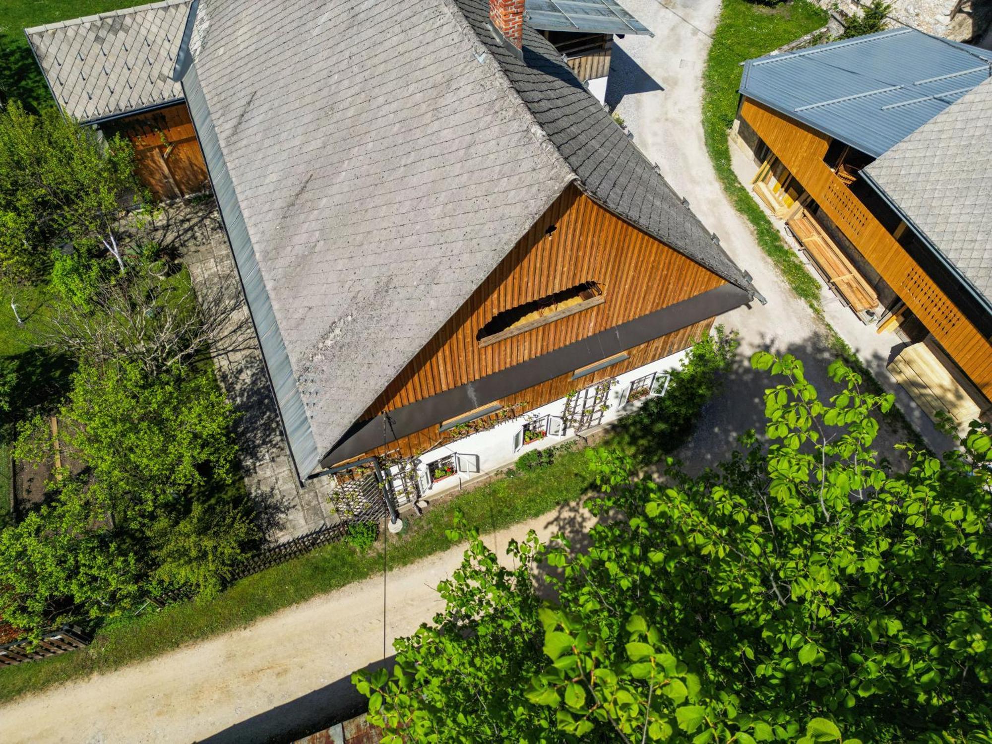 House, Garden And A Green Cat เบลด ภายนอก รูปภาพ