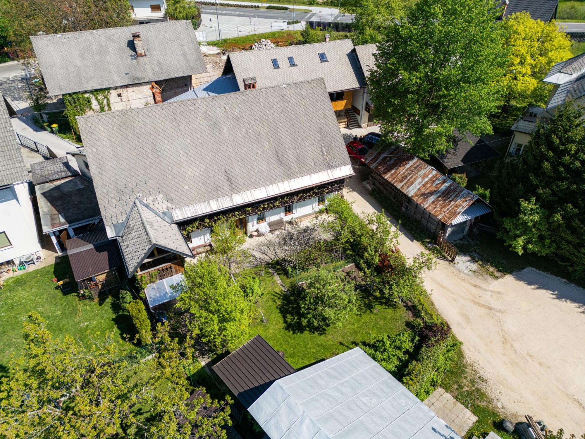 House, Garden And A Green Cat เบลด ภายนอก รูปภาพ