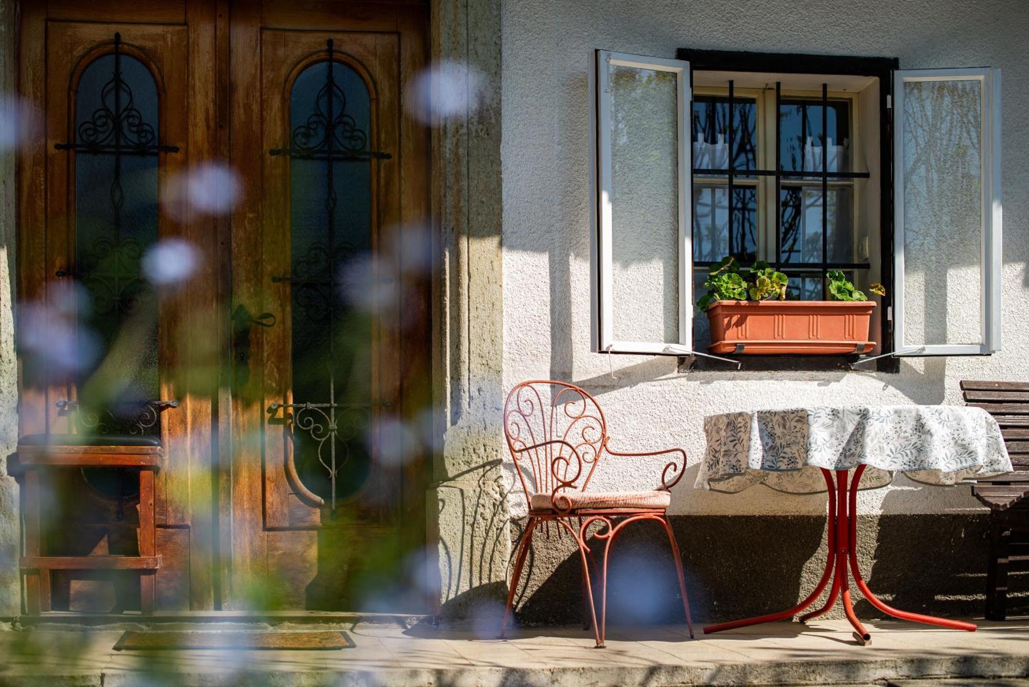 House, Garden And A Green Cat เบลด ภายนอก รูปภาพ