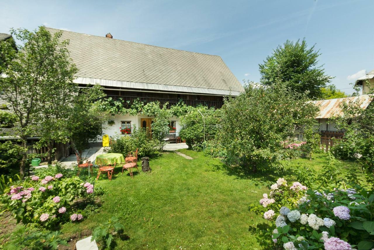 House, Garden And A Green Cat เบลด ภายนอก รูปภาพ